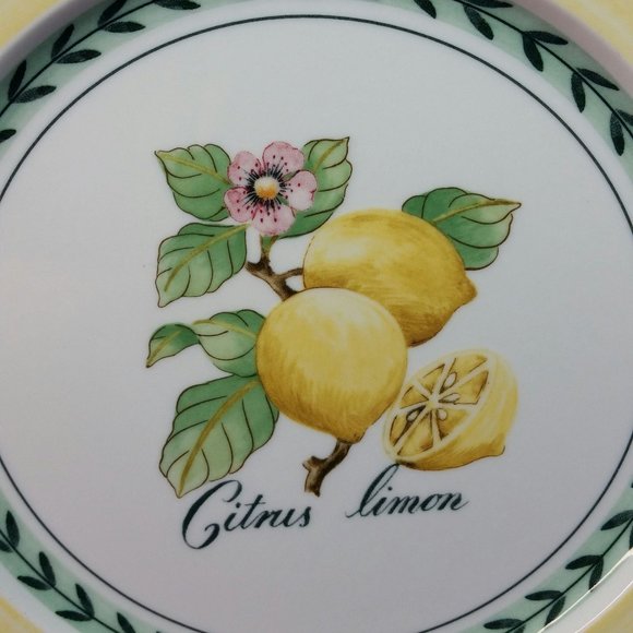 Villeroy & Boch Lemon Salad Plate French Garden Valence Collection Pre-Owned - Picture 4 of 10